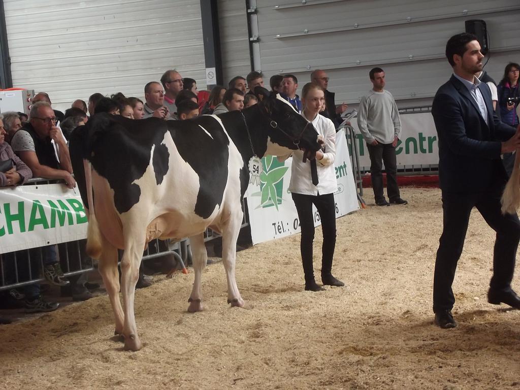 Production de fromage au Puy-en-Velay