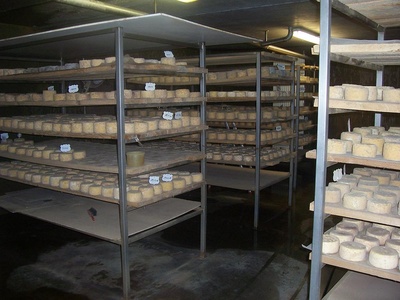 Affinage de fromage à Jalavoux
